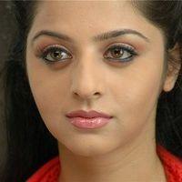 Vedika Latest Photo Shoot Pictures | Picture 84383